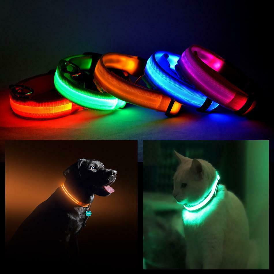 Led Pet Safety Halo Style Collar -color: Red, Size: Medium