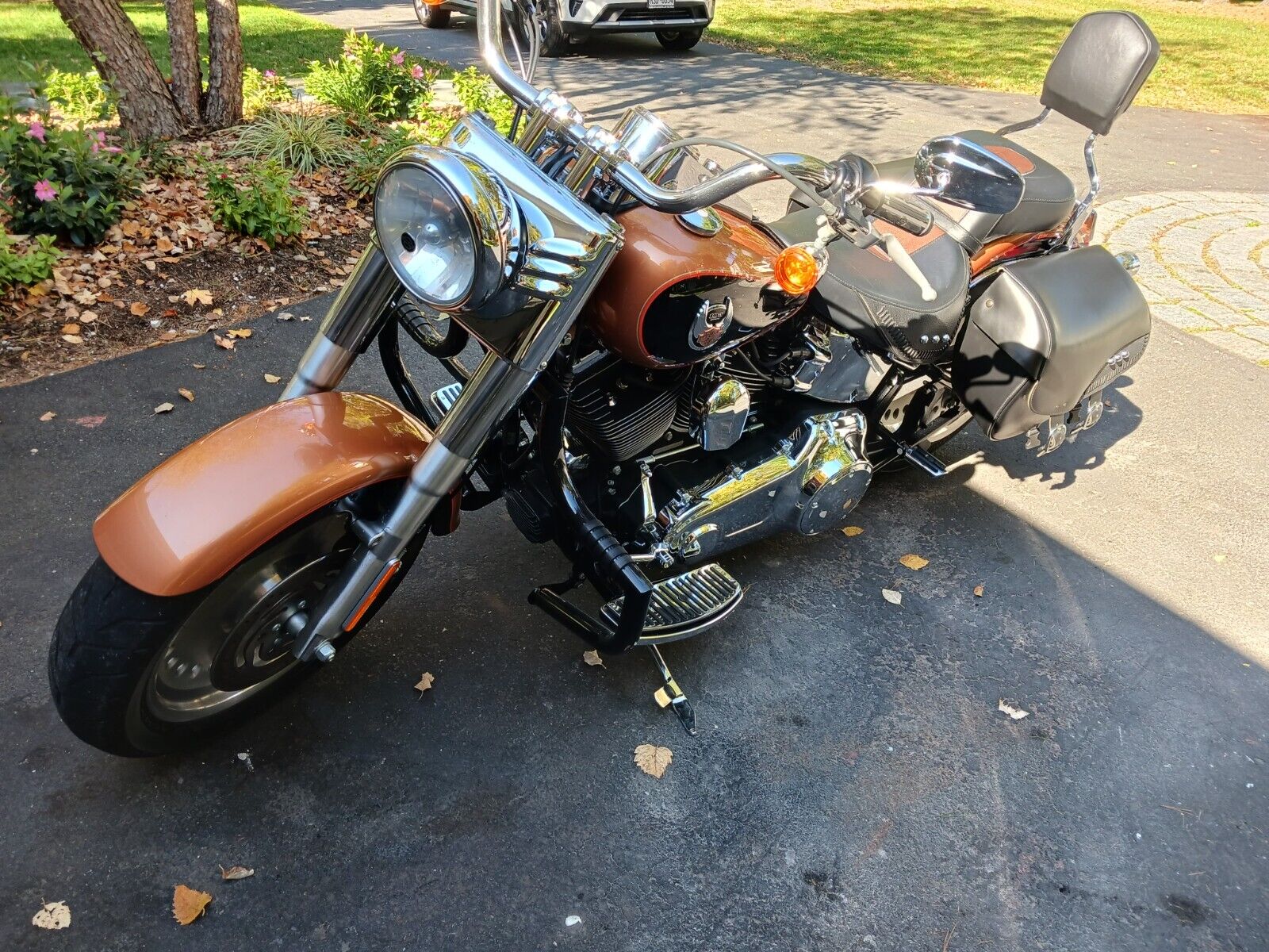 2008 Harley-davidson Softail