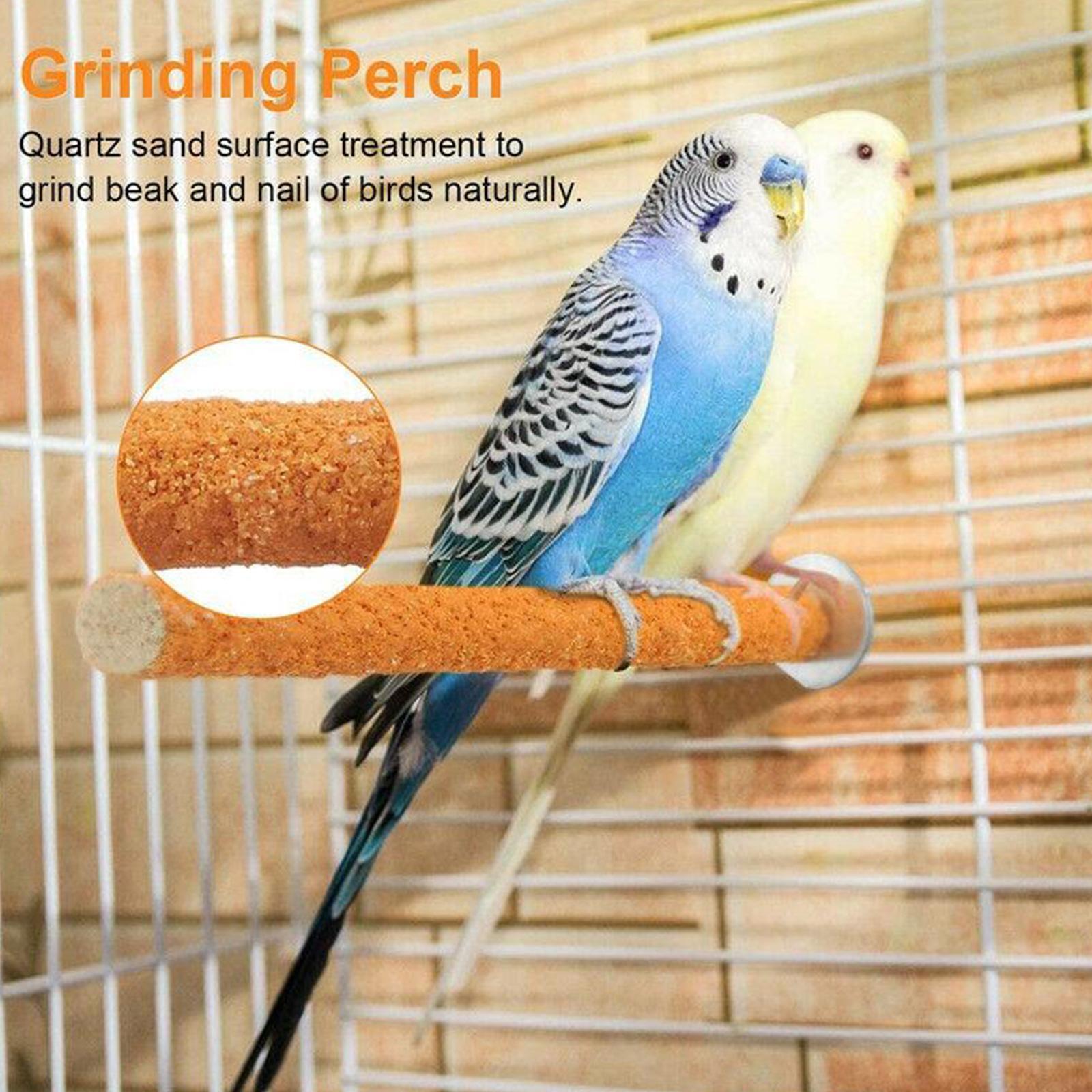 Pet Bird Parrot Stand Stick Pet Stand Platform Paw For Budgie Stick Cag B5c3