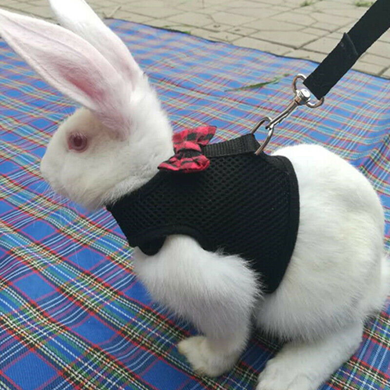 Black/red Adjustable Soft Harness With Elastic Leash For Rabbit Bunny Us